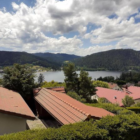 Esprit Myrtille Balcon Vue Lac Gérardmer Екстериор снимка