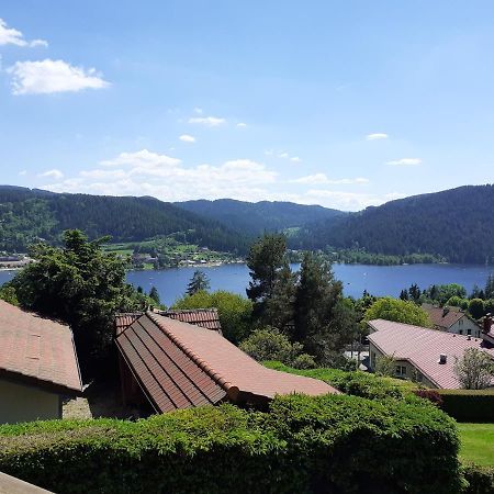Esprit Myrtille Balcon Vue Lac Gérardmer Екстериор снимка